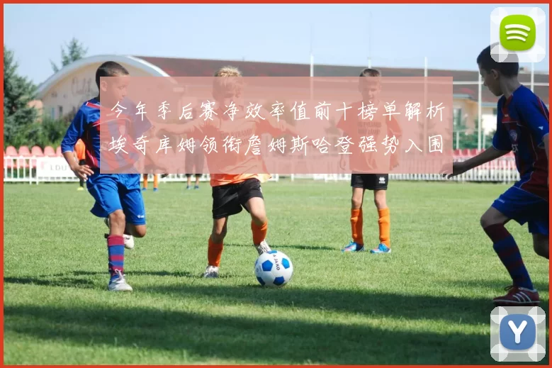 今年季后赛净效率值前十榜单解析埃奇库姆领衔詹姆斯哈登强势入围