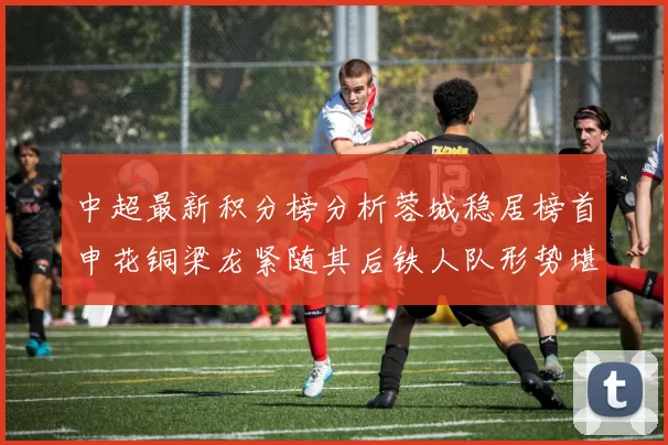 中超最新积分榜分析蓉城稳居榜首申花铜梁龙紧随其后铁人队形势堪忧