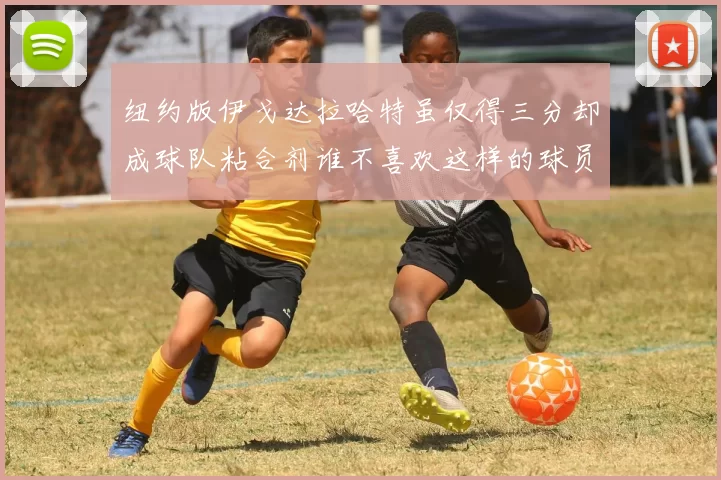 纽约版伊戈达拉哈特虽仅得三分却成球队粘合剂谁不喜欢这样的球员